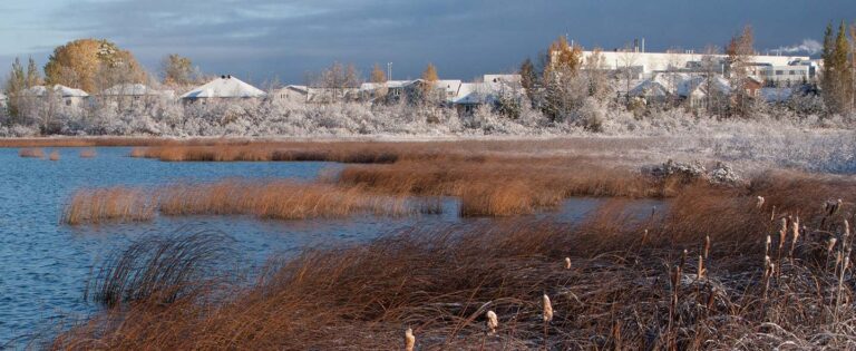 The City of Timmins, Ontario overcomes unique citizen engagement obstacles Post Image