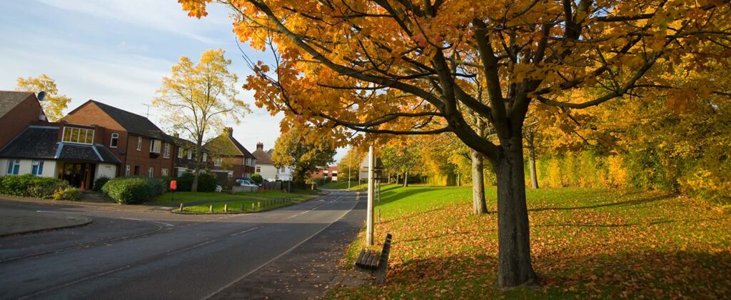 Street in Stevenage UK with tree and orange leaves