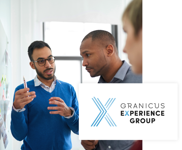 Granicus Experience Group